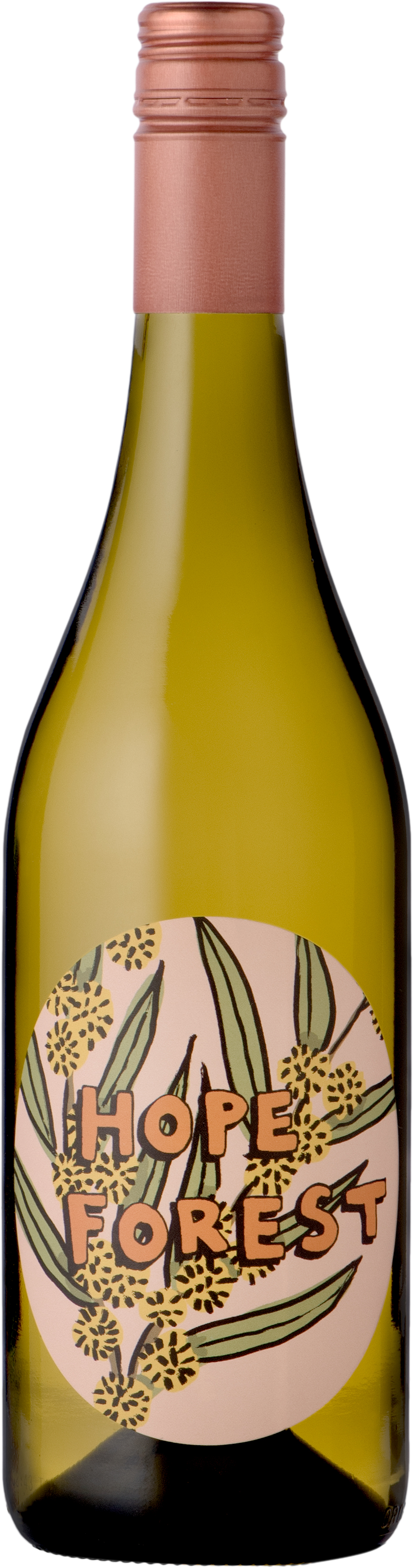Worlds Apart Hope Forest Sauvignon Blanc 2022 Adelaide Hills